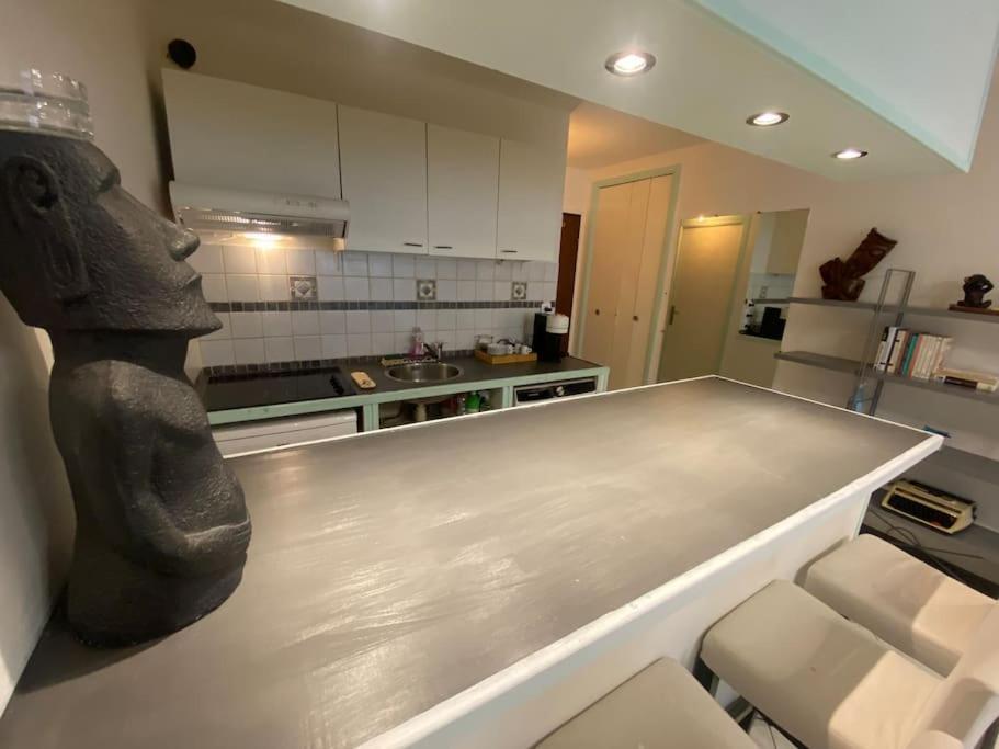 Apartment Grand Studio Tres Bien Situe!